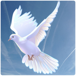 Compartilhe: Frases de Deus