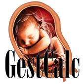 GestCalc - Idade Gestacional آئیکن