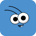 Zoom! Bob Videos