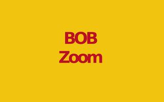 Zoom! Bob Videos screenshot 2