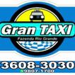 Gran Taxi - Taxista