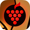 Territorio Do Vinho APK