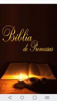 Bíblia de Promessas 海報