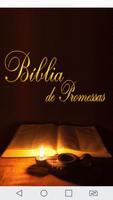 Bíblia de Promessas poster