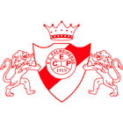 Esporte Clube Palmeirense icône