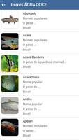 Peixes do Brasil screenshot 3