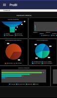 ProBI capture d'écran 1