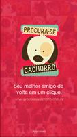 Procura-se Cachorro syot layar 1