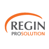 REGIN - Registro Empresarial icône