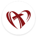 IBCPalmeiras APK