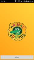 Animal Sounds Affiche