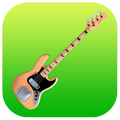 Pro Bass