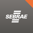 SEBRAE GOIÁS - Portfólio icône