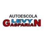 Autoescola Levy Gasparian আইকন