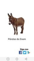 Pérolas do ENEM पोस्टर