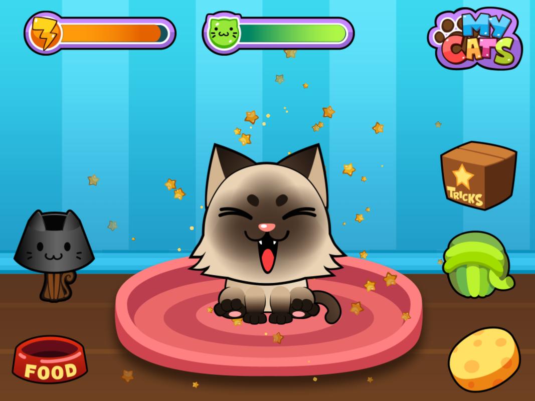 My Virtual Cat Cute Kittens My Virtual Cat Cute Kittens