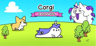 Corgi Evolution: Shiba Dogs