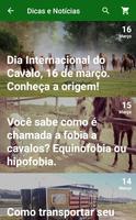 Clube do Cavalo скриншот 3