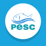 PESC Serviços