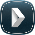 VIASOFT Decisor