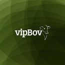 VipBovMobile APK