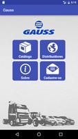 Gauss plakat