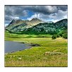 Picture Nature Photos APK