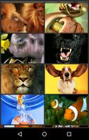 رائعة صور الحيوان تصوير الشاشة 3