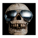 Skulls Images