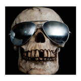 Skulls Images icône