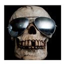 Skulls Images APK