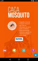 Caça Mosquito Affiche