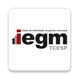 IEGM TCESP icône