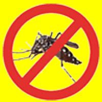 Smash Dengue poster