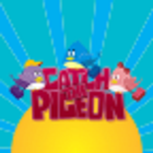 Catch the Pigeon 圖標