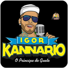 Igor Kannário আইকন