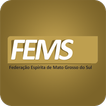 FEMS - Federação Espírita MS