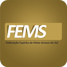FEMS - Federação Espírita MS 아이콘
