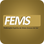 FEMS - Federação Espírita MS