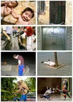 Funny Pictures 截圖 1