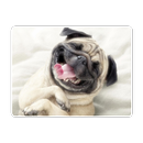 LOL - Funny Pictures APK