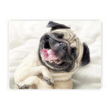 LOL – Imagens Engraçadas