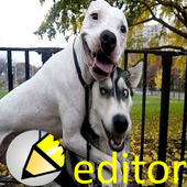 fun photo editor icon