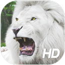 León Blanco Fondo de Pantalla APK