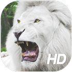 White Lion Wallpaper biểu tượng