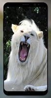 White Lion Wallpaper 截图 3