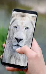White Lion Wallpaper アプリダウンロード