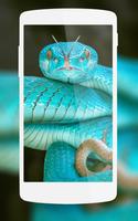 Snake Wallpaper 포스터
