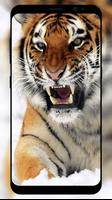 Tiger Wallpaper 포스터