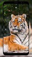 Tiger Wallpaper 스크린샷 1